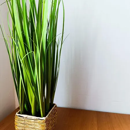 Center 4-person * Lubiana