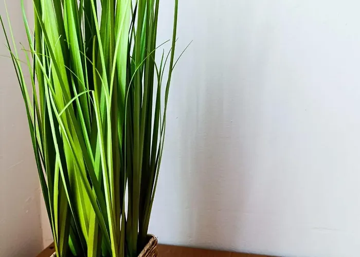 Center 4-person * Λιουμπλιάνα